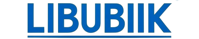 libubiik.com logo